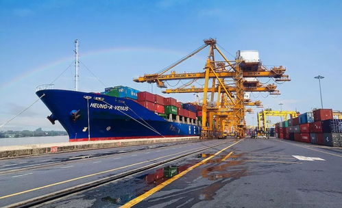 越南經濟逆勢增長背后的戰略選擇與文化潛力