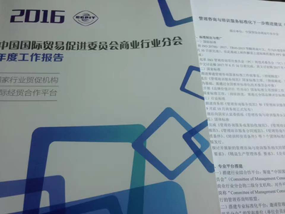 標(biāo)準(zhǔn)引領(lǐng)，智啟未來(lái) 李德偉出席2017年管理咨詢(xún)與培訓(xùn)服務(wù)標(biāo)準(zhǔn)化研討會(huì)